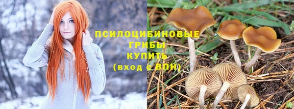 каннабис Волоколамск