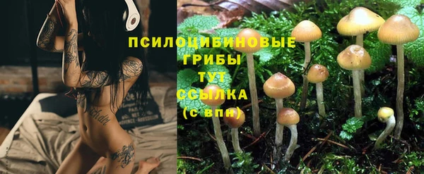 кристаллы Болхов